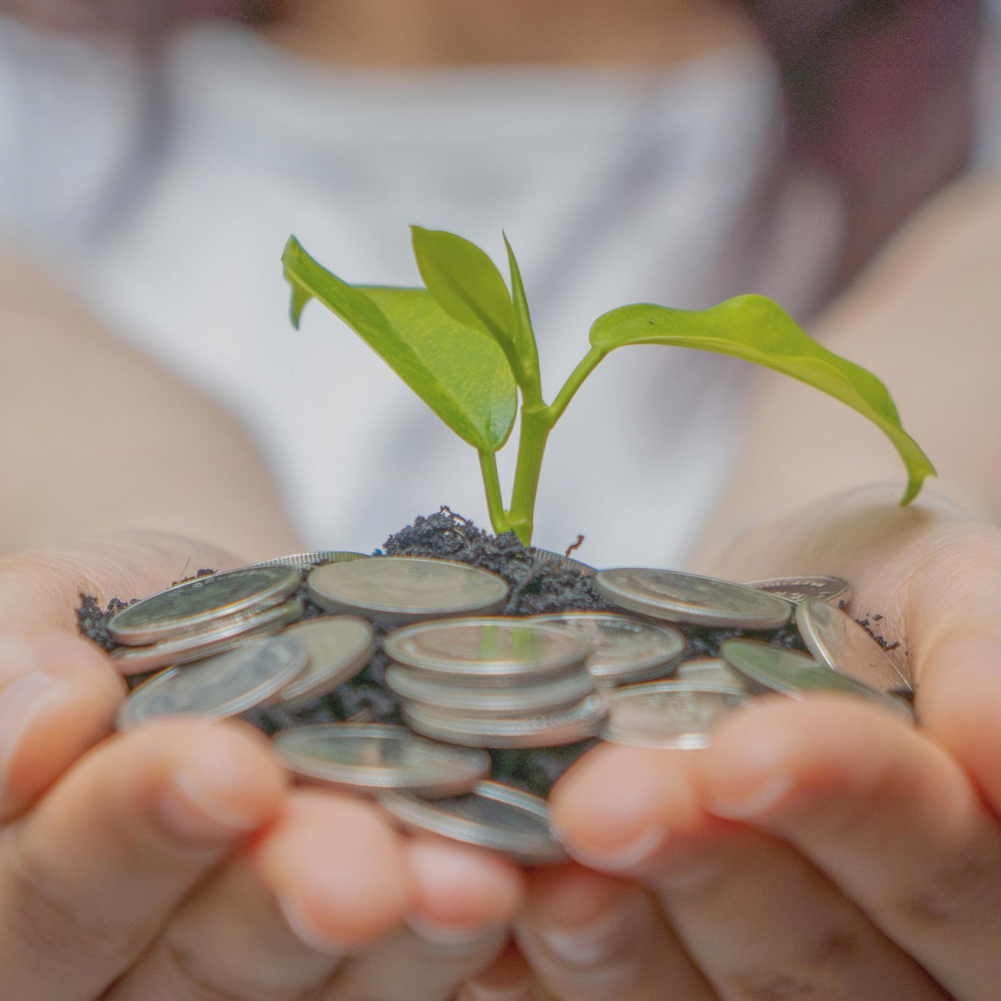 Education Innovation Ventures