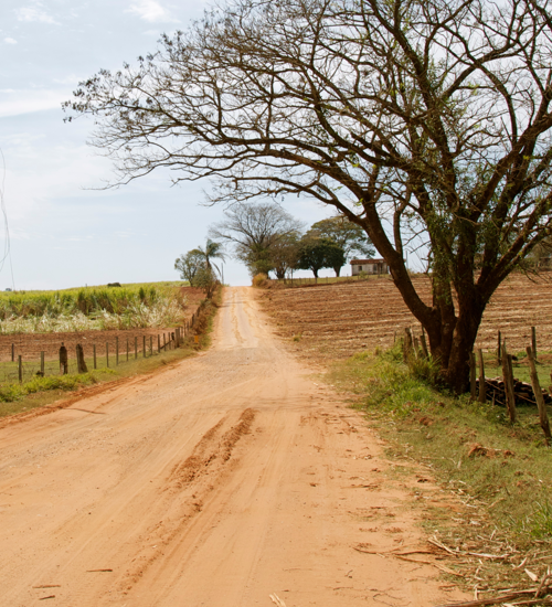 Building Momentum for Rural Institutions and Learners