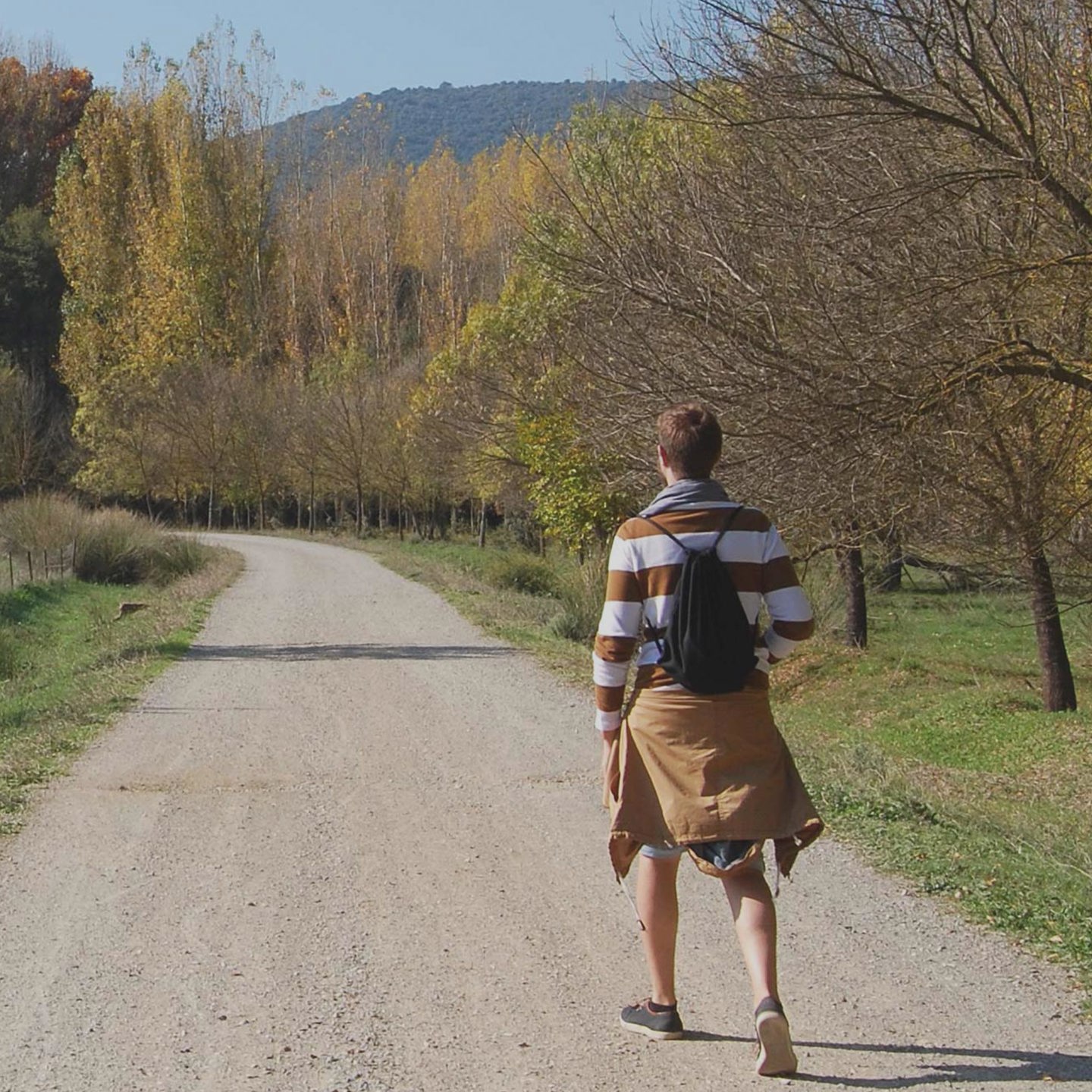 Rural Impact Initiative